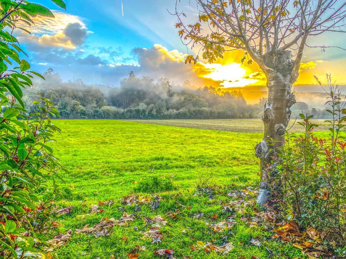 A Carballeira Do Tambre Troitosende Exteriér fotografie